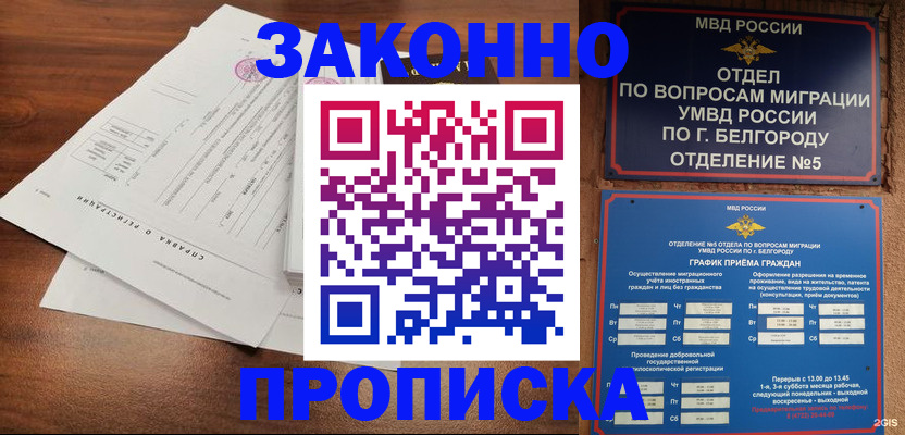 прописка в Звенигово